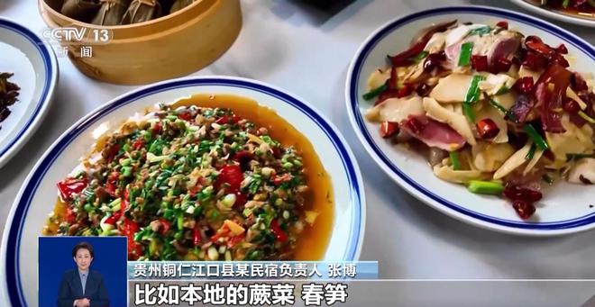 时 从山野餐桌上感受春天的味道不朽情缘平台推荐踏青赏春正当(图1)